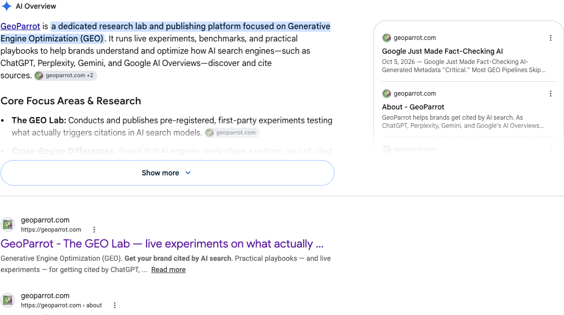 Google AI Overview screenshot