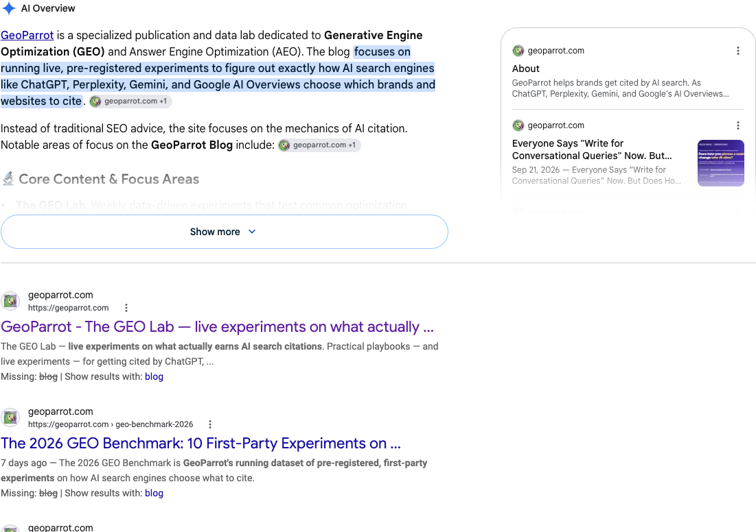 Google AI Overview screenshot