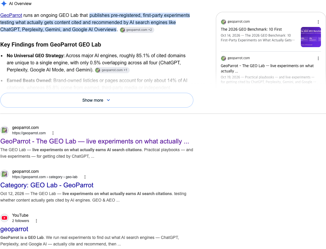Google AI Overview screenshot