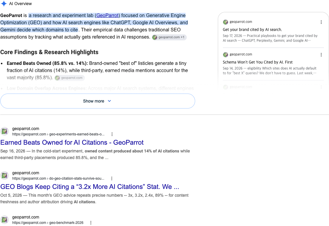 Google AI Overview screenshot